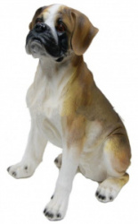 d172a2a628b8e539542940e145fae3dc