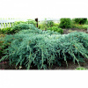 600429ac7dcfd_96.3-800x800